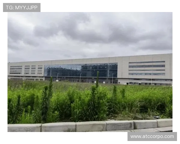 欧博平台的运营地点和相关许可证信息全面解析