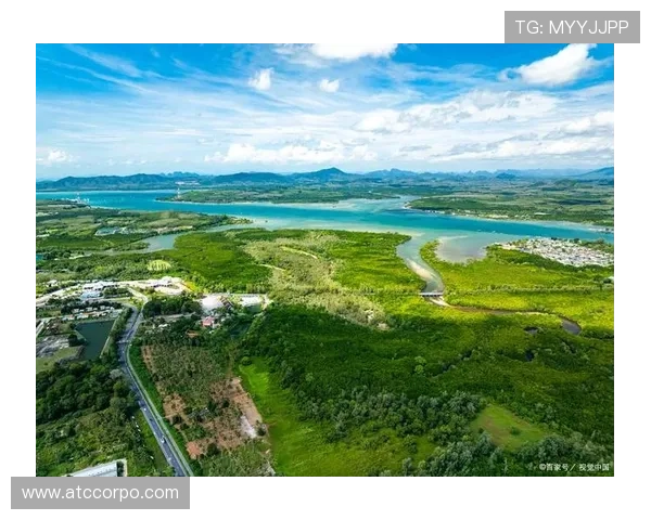 红树林娱乐：打造生态旅游与娱乐休闲的完美结合，促进绿色生态保护与旅游发展